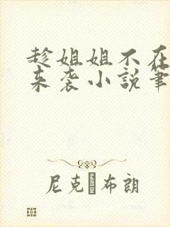 趁姐姐不在妹妹来袭小说笔趣阁最新封面