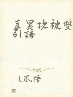 直男攻被双性受引诱封面