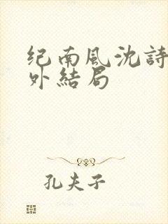 纪南风沈诗澜番外结局