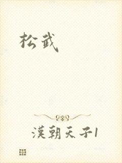 松武封面
