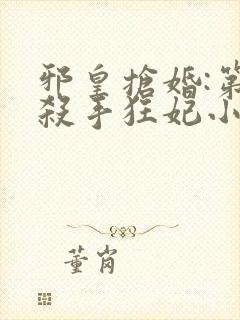 邪皇抢婚:第一杀手狂妃小说
