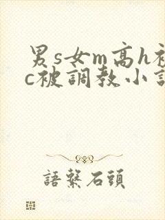 男s女m高h被c被调教小说封面