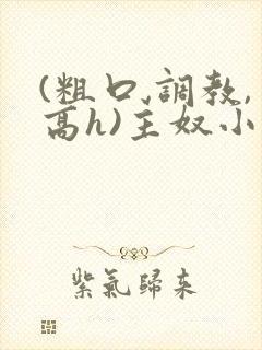 (粗口,调教,高h)主奴小说