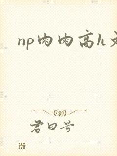 np肉肉高h文