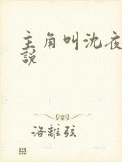 主角叫沈夜的小说封面