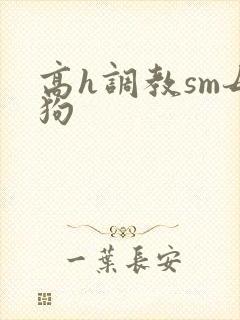 高h调教sm母狗