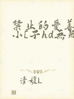 禁止的爱善良的小[子hd无删减播放韩
