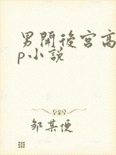 男开后宫高hnp小说