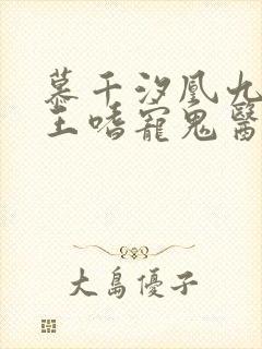 慕千汐凰九夜邪王嗜宠鬼医狂妃