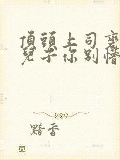 顶头上司变后妈儿子你别懵电视剧免费观看