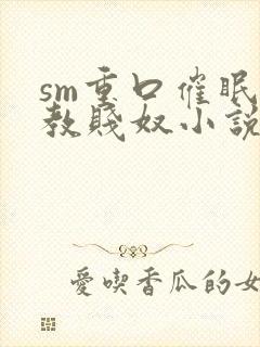 sm重口催眠调教贱奴小说