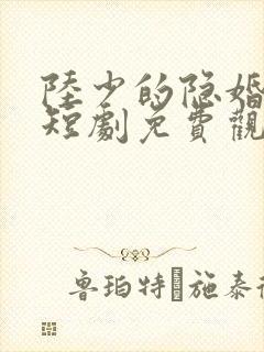 陆少的隐婚罪妻短剧免费观看