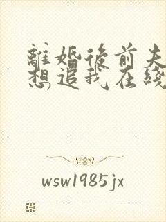 离婚后前夫总是想追我在线阅读全文免费封面