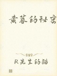 黄蓉的秘密