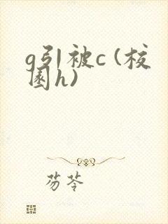 g引被c (校园h)