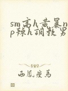 sm高h黄暴np辣h调教男奴