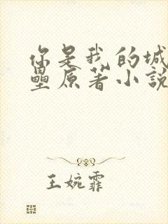 你是我的城池营垒原著小说免费阅读