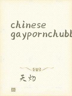 chinesegaypornchubbybearsex