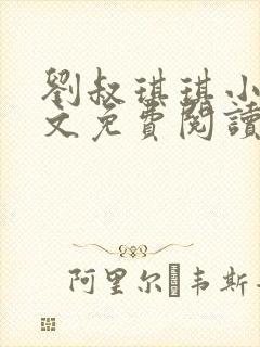 刘叔琪琪小说全文免费阅读最新章节封面