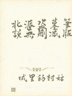 北派盗墓笔记小说无删减版