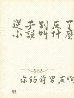 逆子别反了原著小说叫什么名字啊