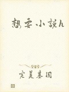 想要小说h