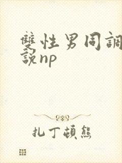 双性男同调教小说np