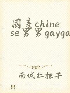 国产chinese男男gaygay网址