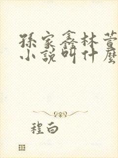 孙家鑫林萱段豪小说叫什么名字啊封面