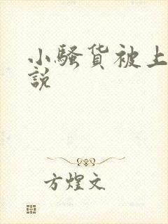 小骚货被上的小说
