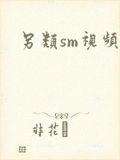 另类sm视频网封面