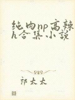纯肉np高辣文h合集小说封面