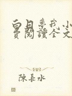 白日梦我小说免费阅读全文无删减封面
