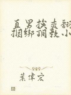 直男挨爽翻呻淫捆绑调教小说封面