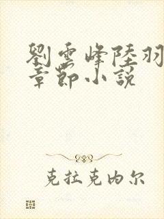 刘云峰陆羽最新章节小说