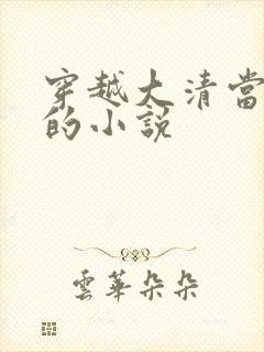 穿越大清当皇帝的小说
