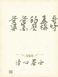 爸爸的表哥的老婆怎么称呼