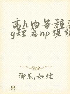 高h肉各种姿势g短篇np视频封面