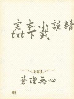 完本小说精校版txt下载