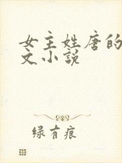 女主姓唐的总裁文小说封面