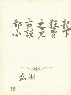 都市之狂龙战神小说免费下载