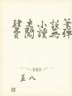 肆光小说笔趣免费阅读无弹窗