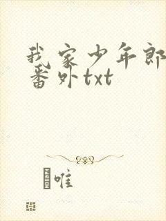 我家少年郎全本番外txt