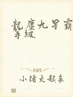 龙尘九星霸体诀等级