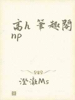 高h 笔趣阁 np