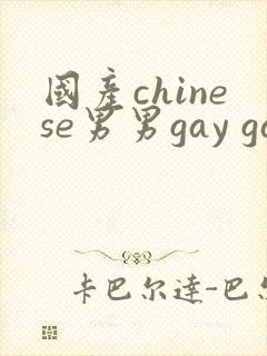 国产chinese男男gay gay网站
