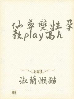 仙尊双性孕夫调教play高h