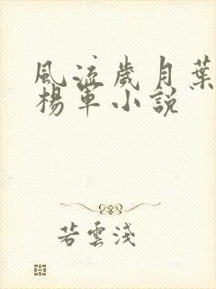 风流岁月叶轻柔杨军小说封面