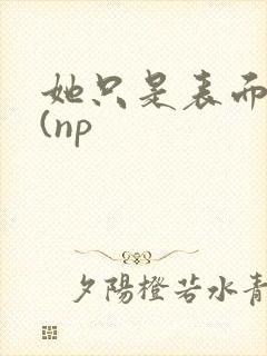 她只是表面清纯(np