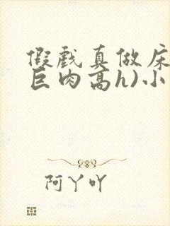 假戏真做床戏(巨肉高h)小说封面